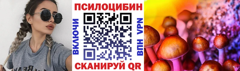 Псилоцибиновые грибы Psilocybine cubensis  Купить  Чайковский 