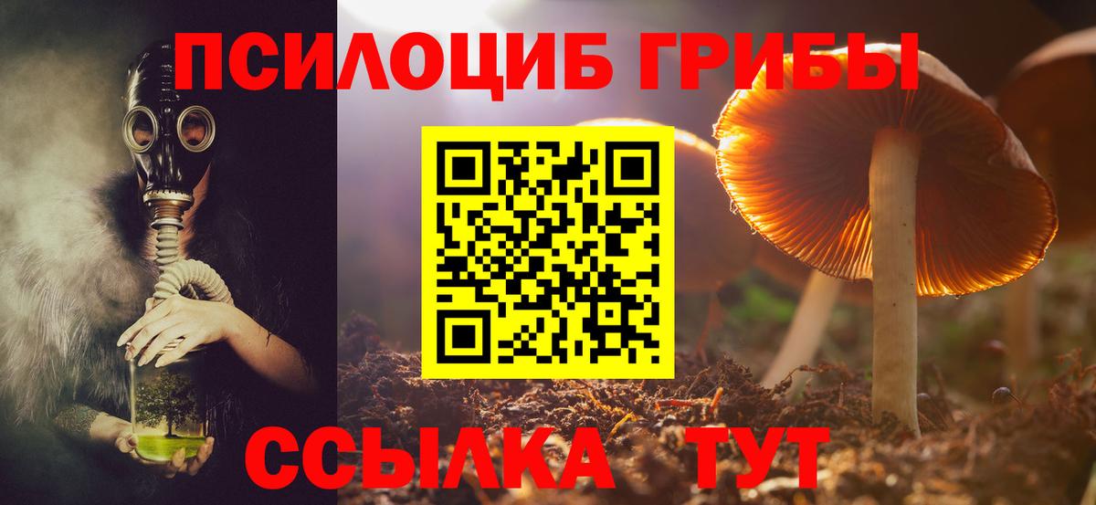 Псилоцибиновые грибы GOLDEN TEACHER Чайковский